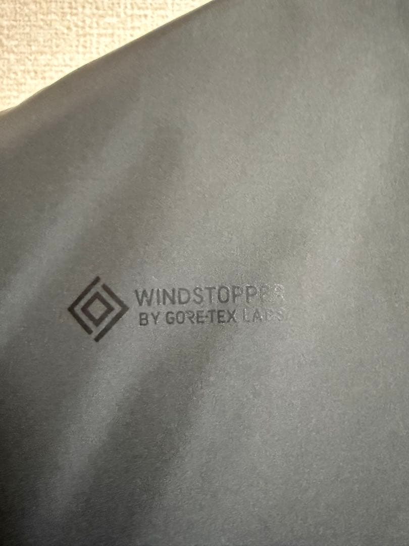 【極美品L】DAIWA PIER 39 ダウンベスト チャコール 正規店購入