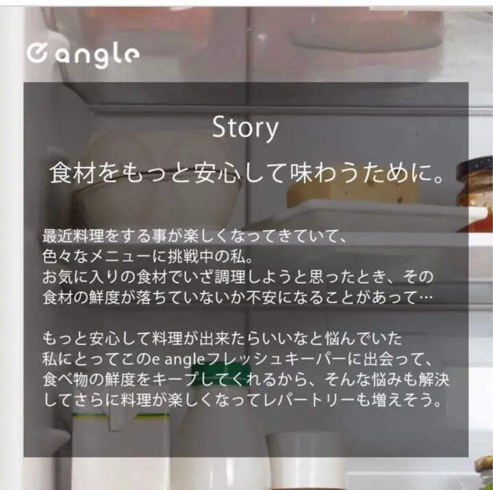 【新品未開封】e angle フレッシュキーパー シルバーANG-FK-A9-S