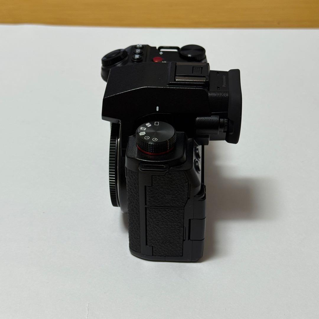 LUMIX S5II S-R2060 フルサイズ　美品　TILTAゲージ