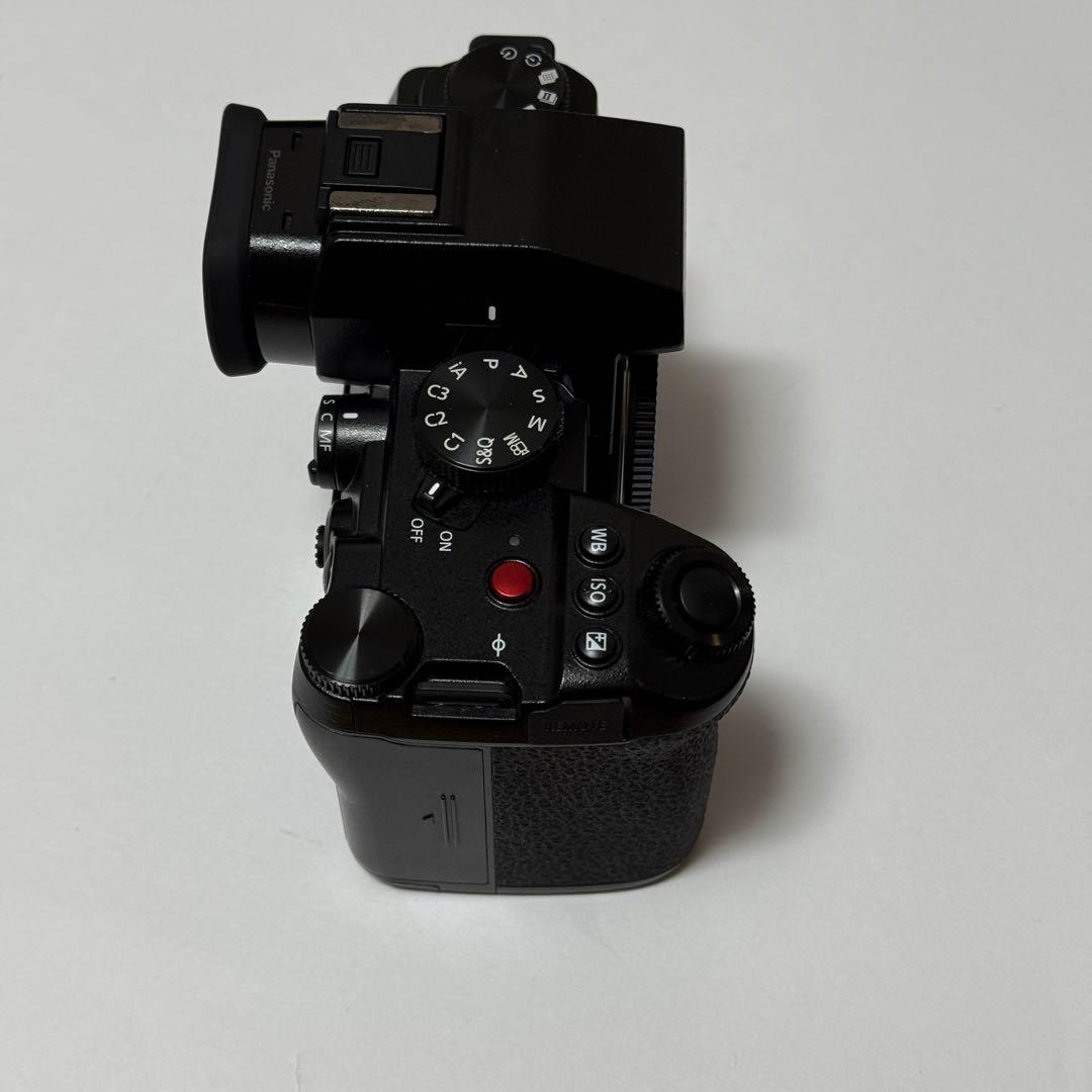 LUMIX S5II S-R2060 フルサイズ　美品　TILTAゲージ