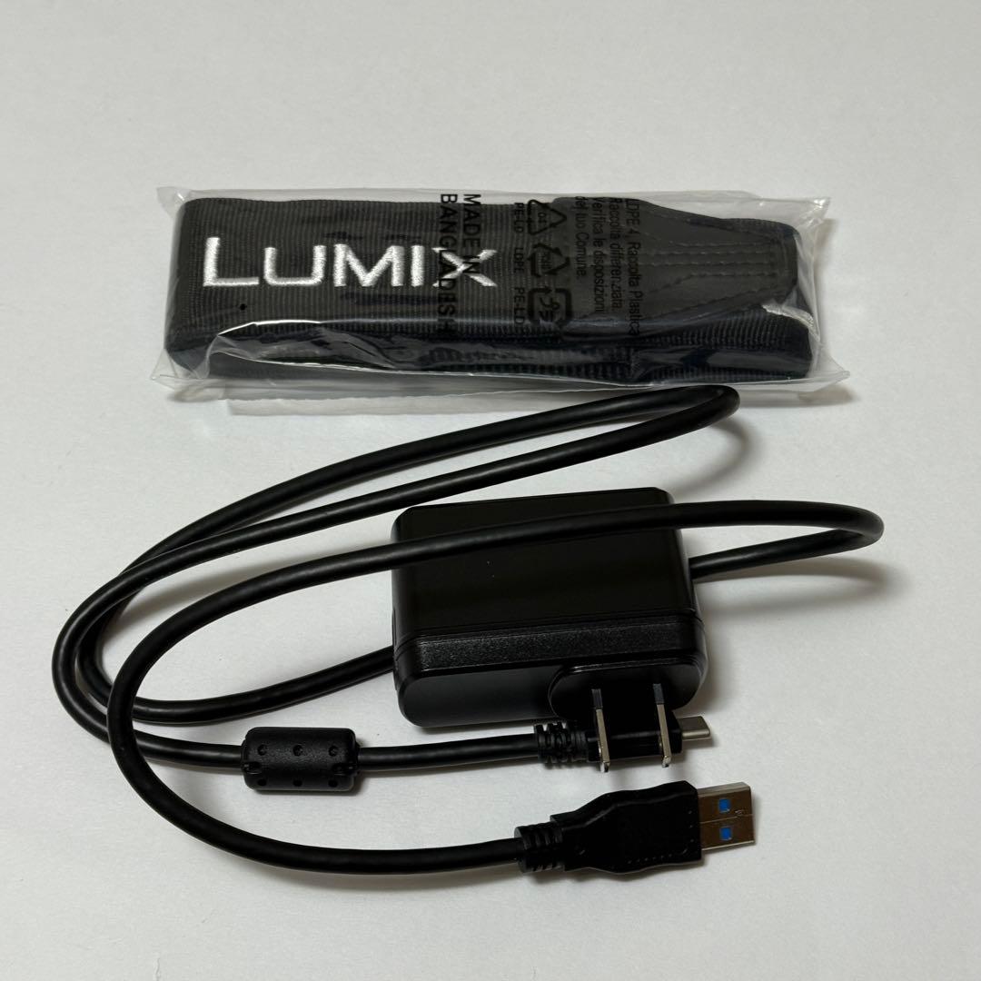 LUMIX S5II S-R2060 フルサイズ　美品　TILTAゲージ