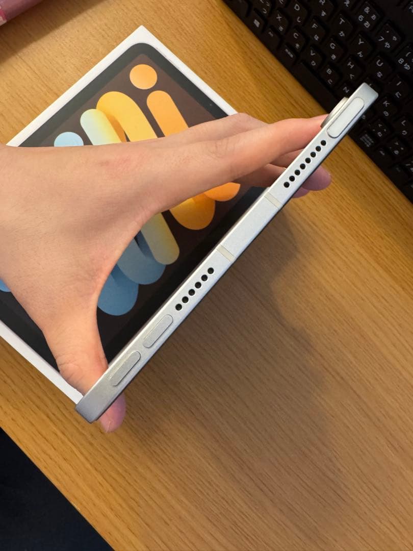 iPad mini 第6世代 256GB Wi-Fi+Cellular