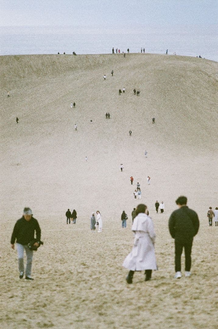 改良版シャッタースピードテスター（35mmフイルムカメラ用／光源ライト付き