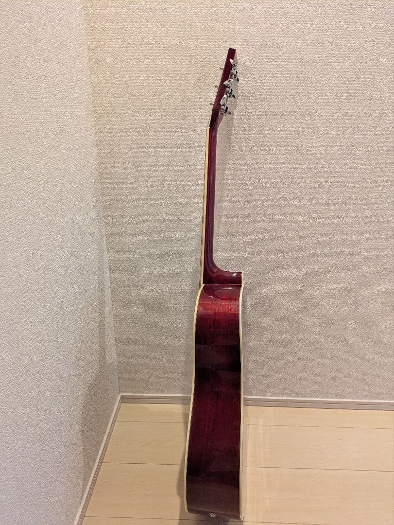 Morris アコースティックギター ワインレッドG35