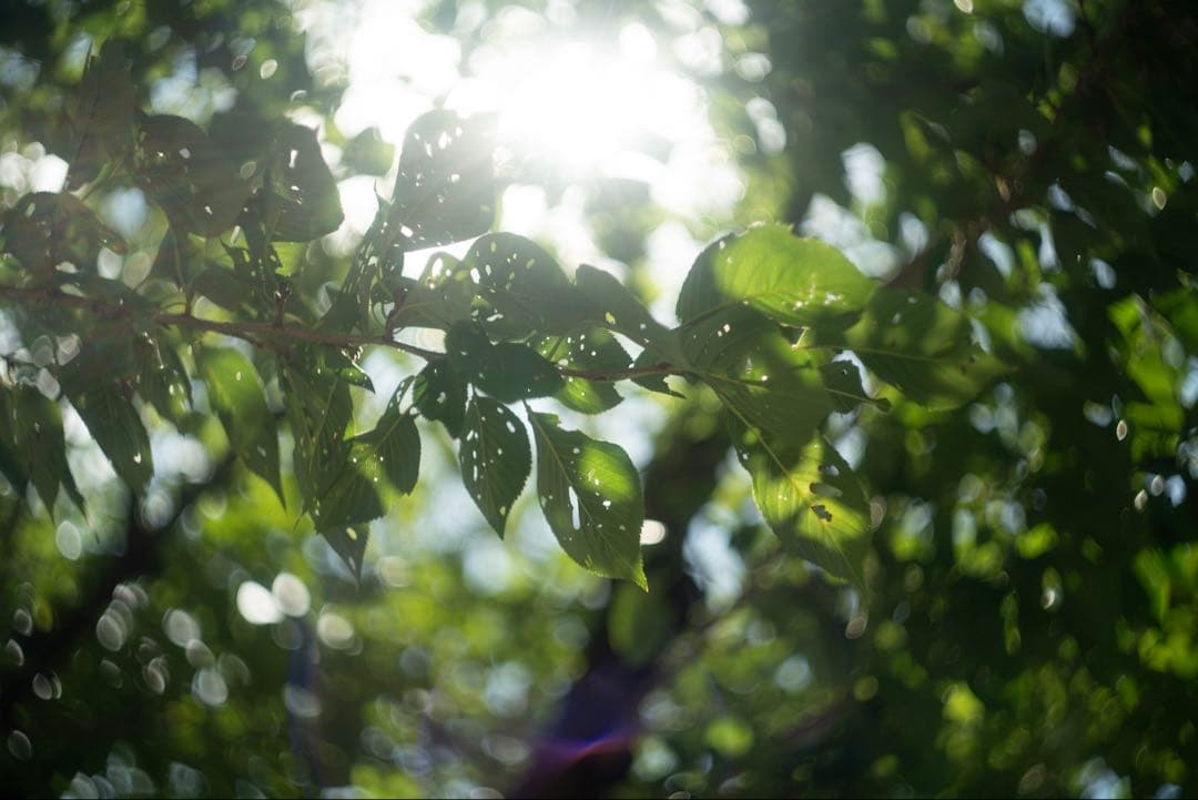超希少 最初期型 13枚羽 Helios-44 58mm f2 ヘリオス