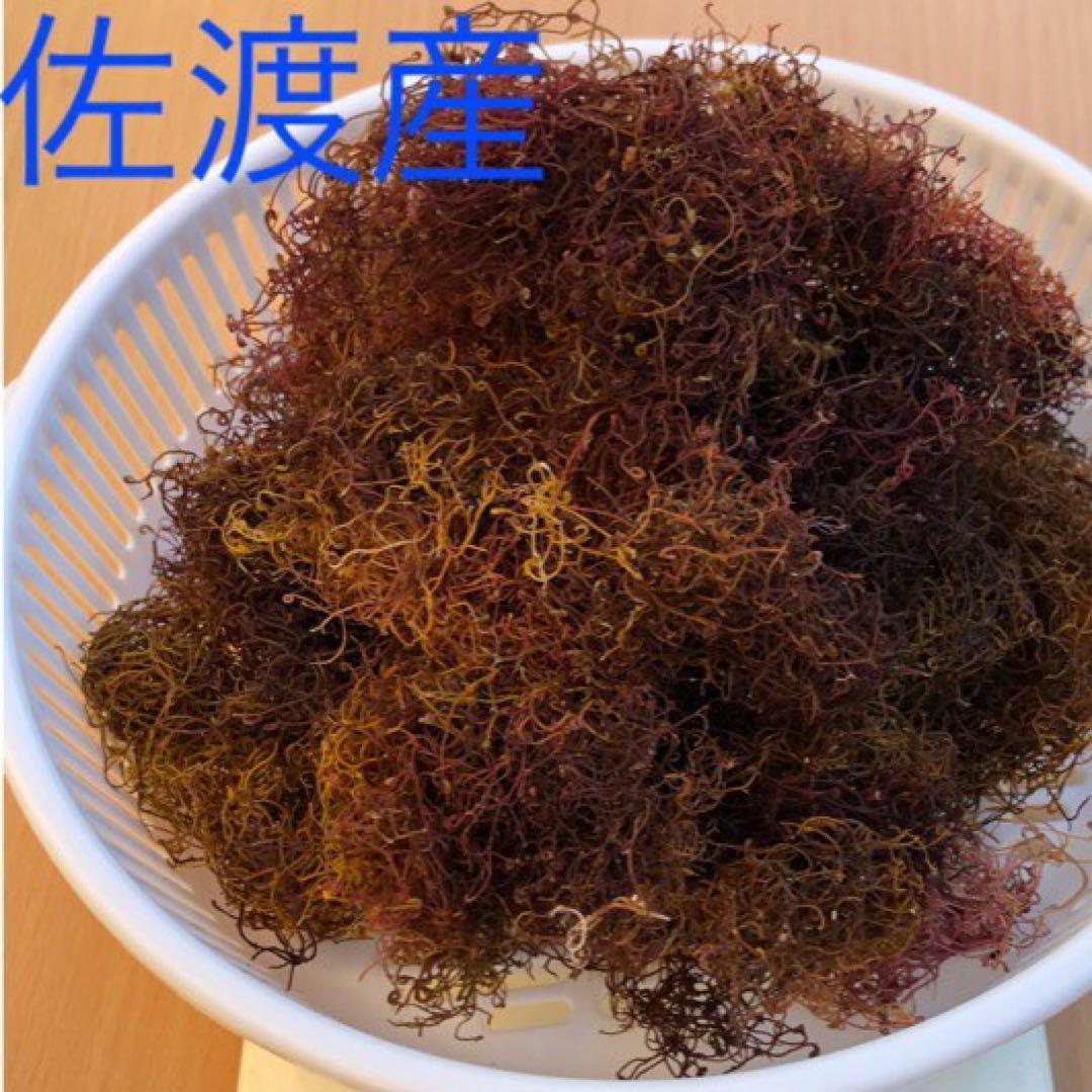 佐渡産　いご草　1000g えご草　おきうと草