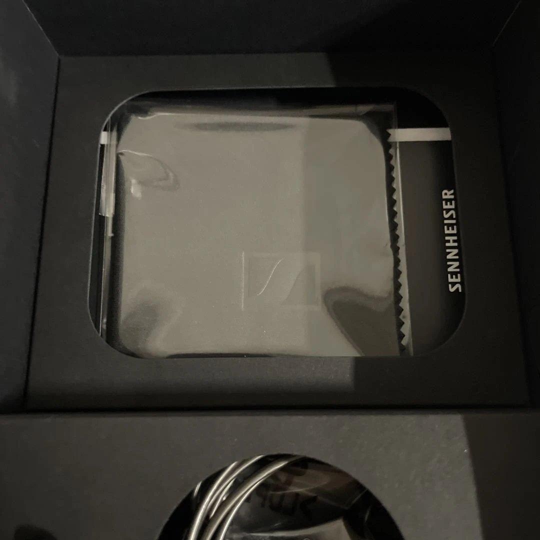 イヤホン SENNHEISER IE900