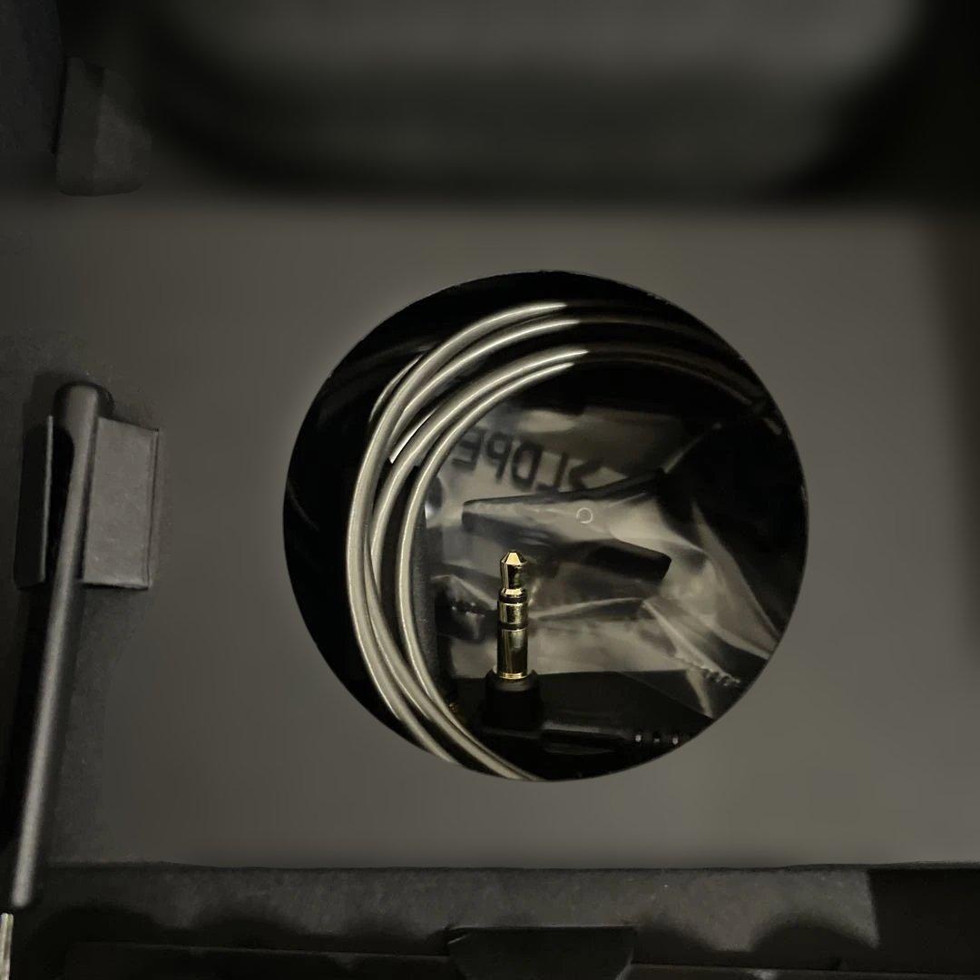 イヤホン SENNHEISER IE900