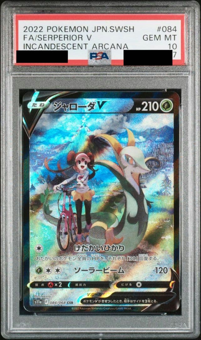 ジャローダV CSR PSA10