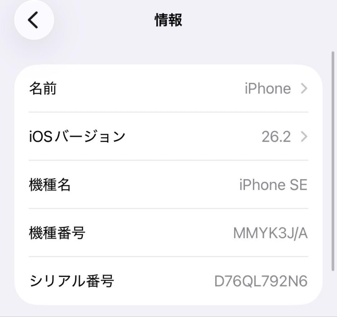 iPhone SE (第3世代)ホワイト256GB 箱・ケーブル付き
