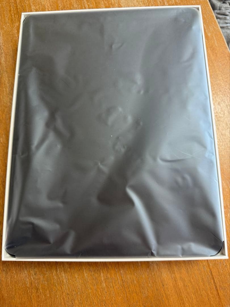 【ほぼ未使用】iPad Pro 12.9 第5世代 512GBセルラー ペン付