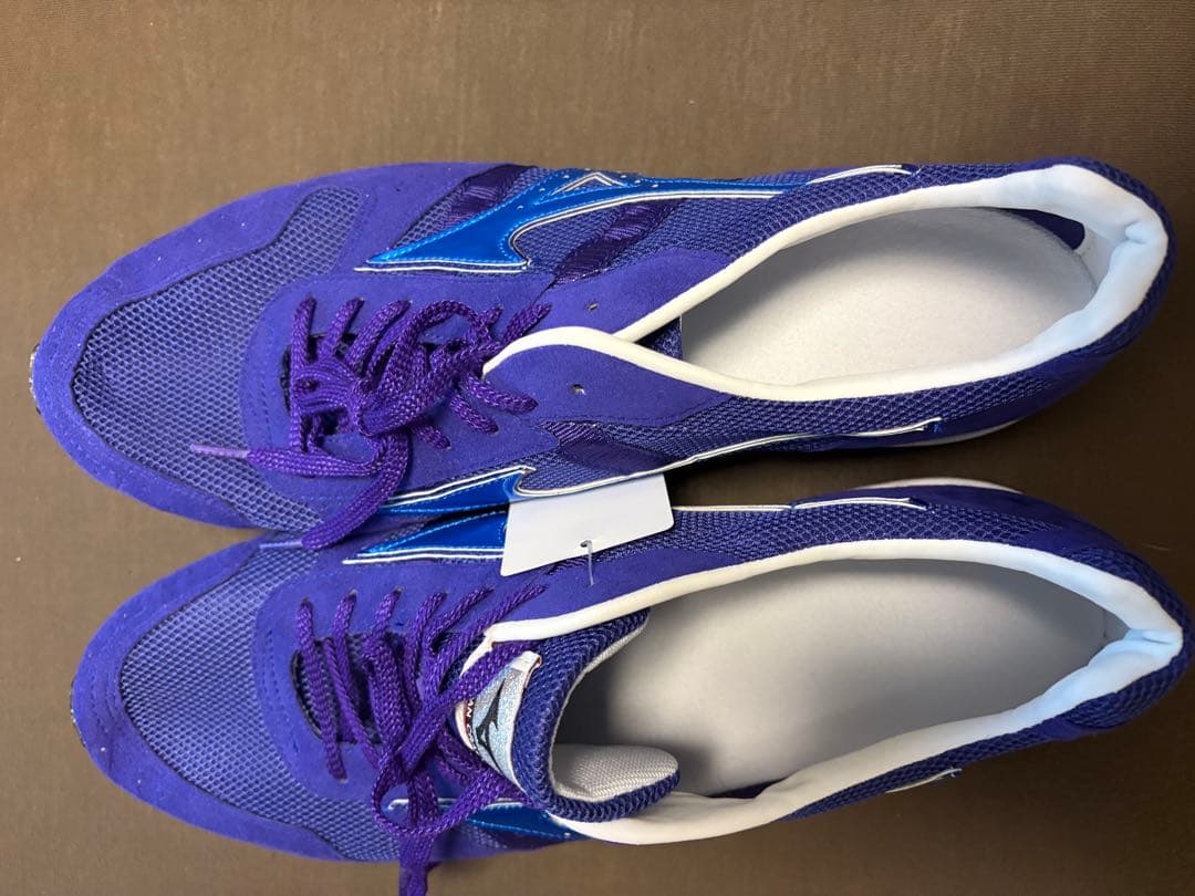 （値下げ可）未使用品　ミズノ　スペシャルオーダーランニングシューズ29cm