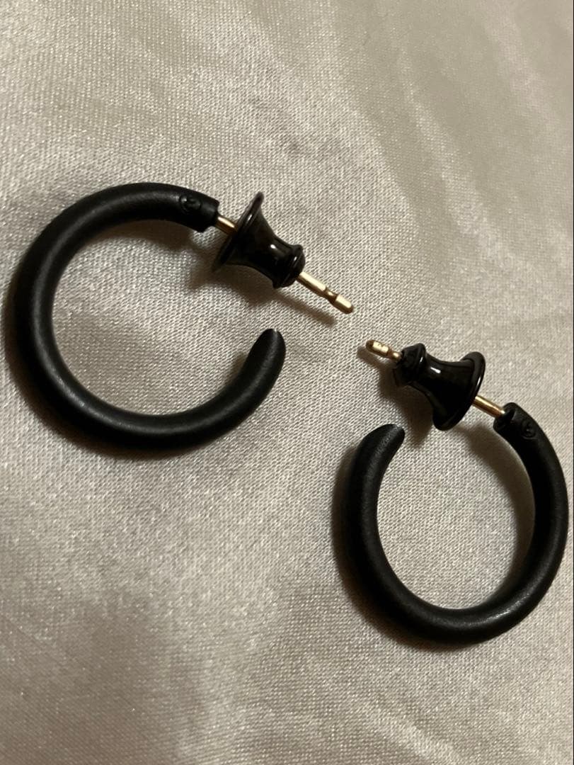 careering ピアス　301