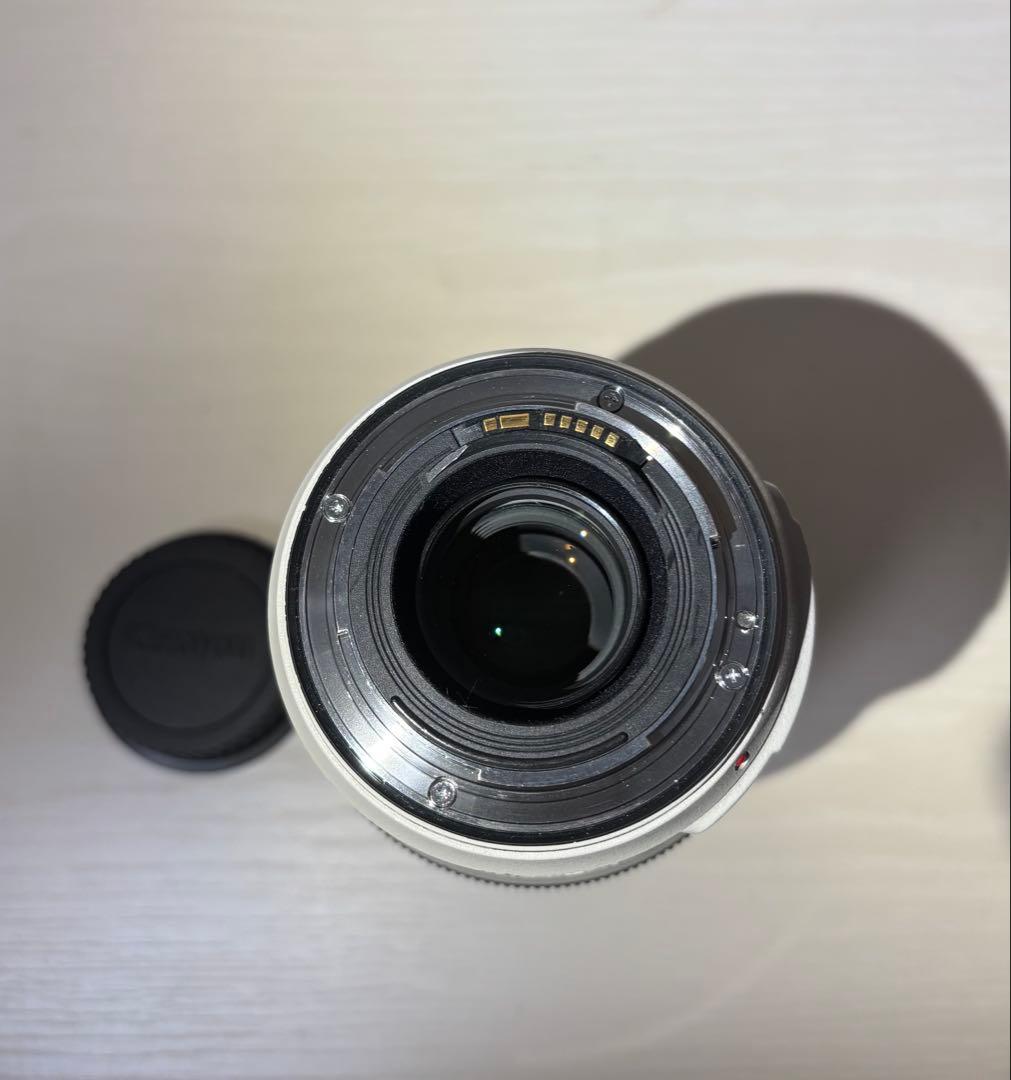 Canon EF 70-300mm f4-5.6L IS USMマウントアダプタ