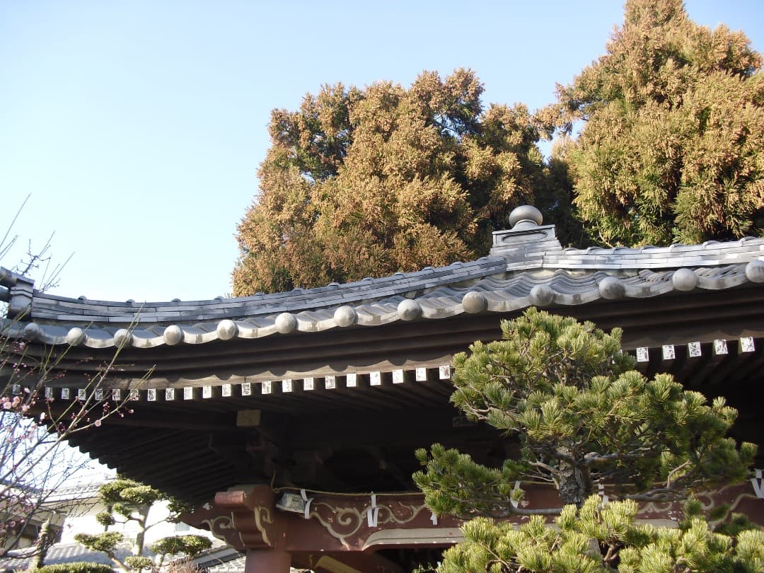 実写美⭕️良品【動作確認済み】CASIO EXILIM EX-Z35 デジカメ