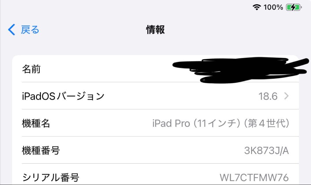 iPad Pro 11 第4世代 128GBシルバー Apple Pencil