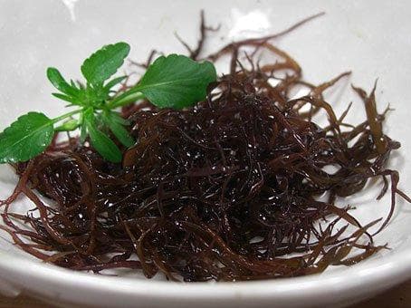 天然乾燥寒ふのり500g北海道産函館産業務価格のお徳用大袋特価