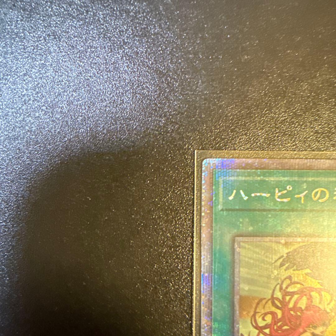 ハーピィの羽根箒　絵違い25th