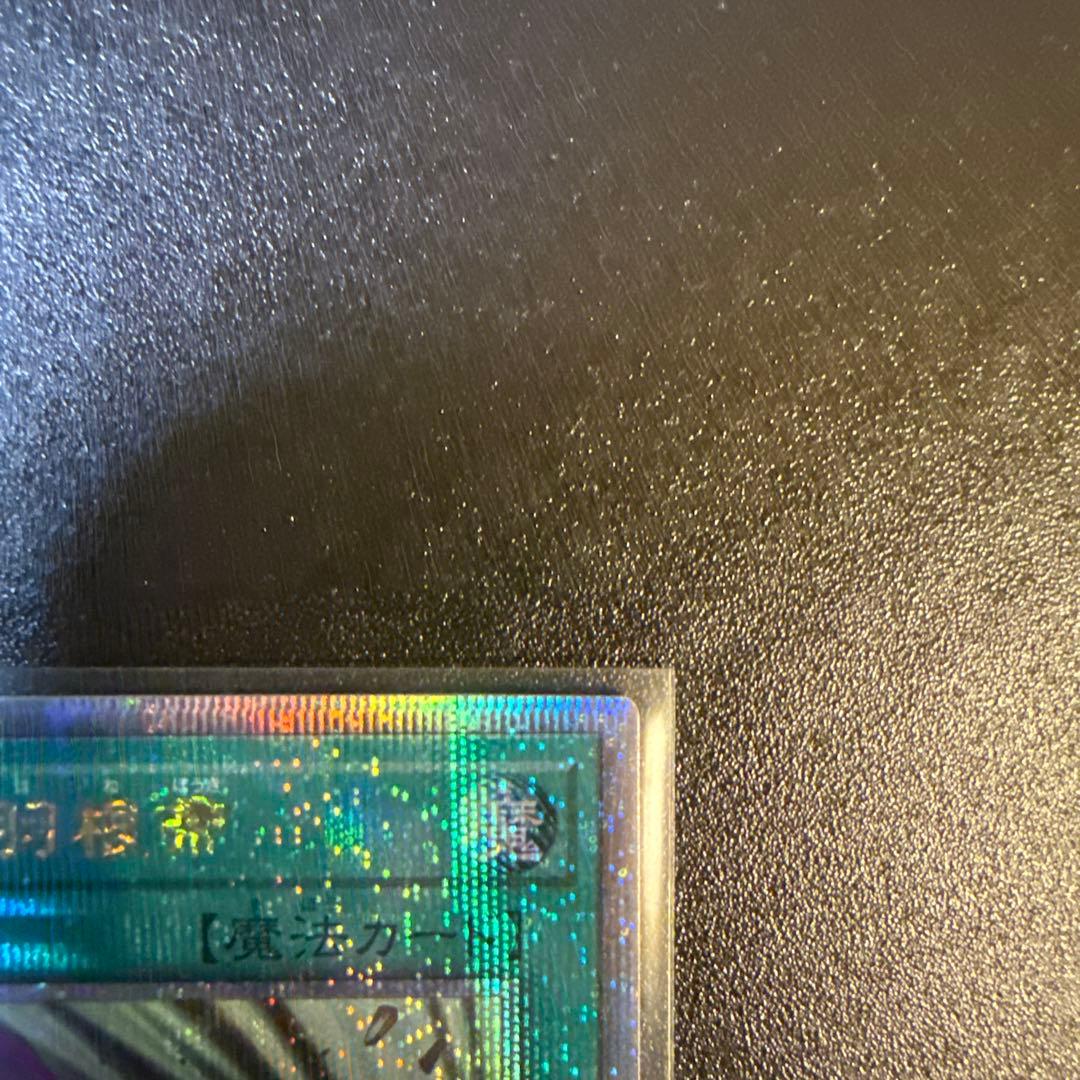 ハーピィの羽根箒　絵違い25th