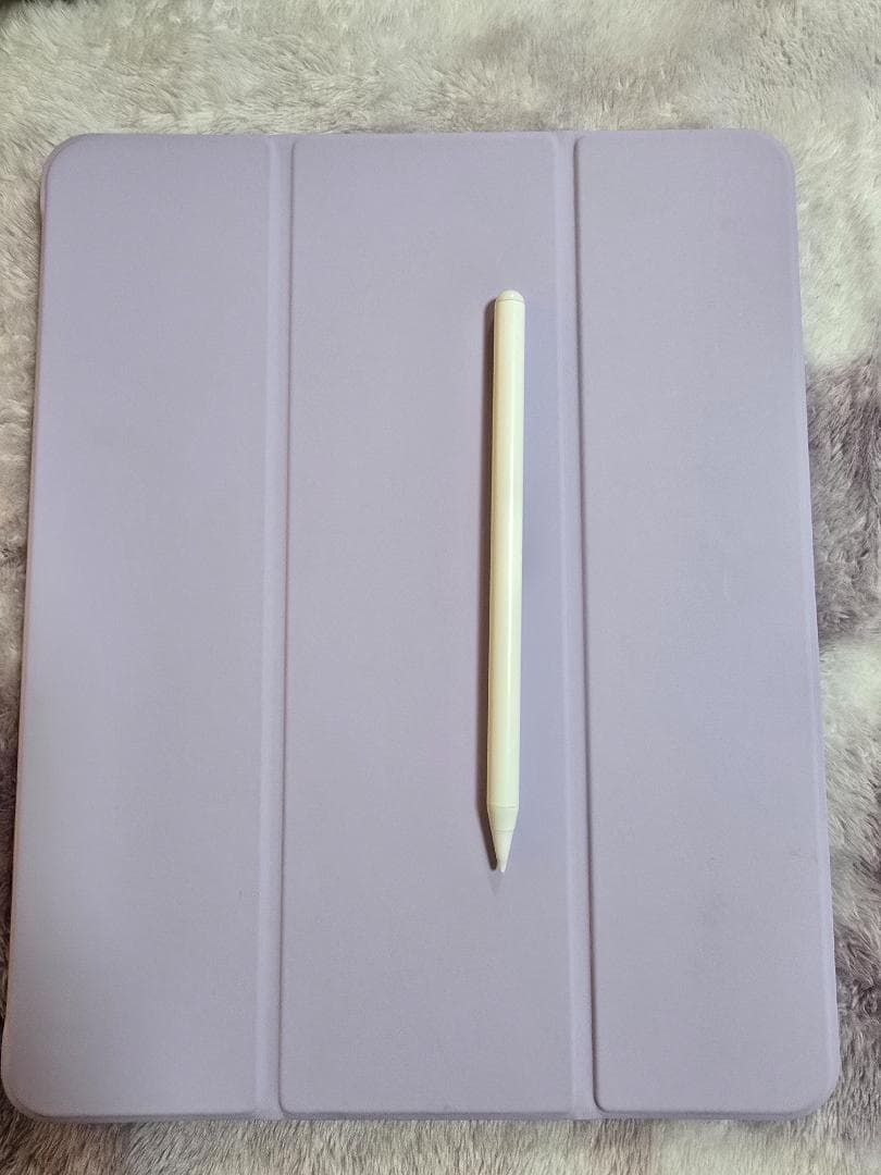 Apple iPad Air (M2) 256GB Wi-Fi 13インチ