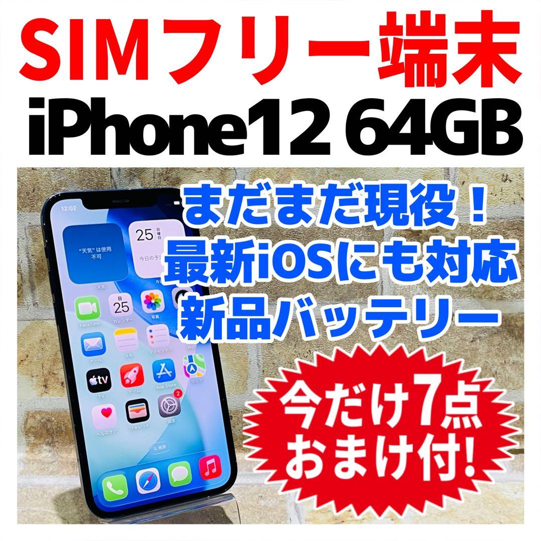 SIMフリー iPhone12 64GB ブルー 新品電池