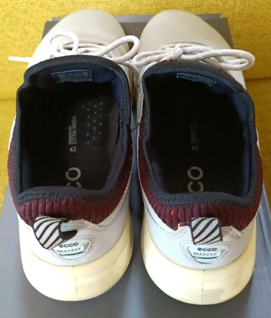 ecco エコー ゴルフシューズ 26.0cm