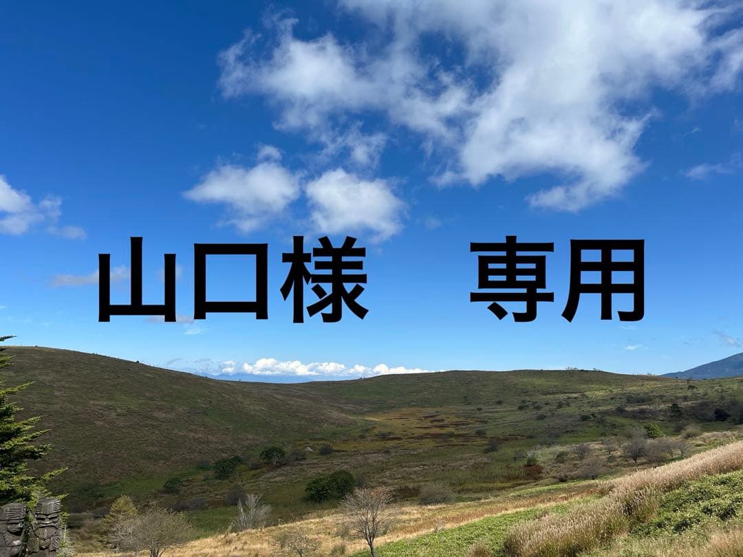 ラフアンドロード アタックザック(8代目)