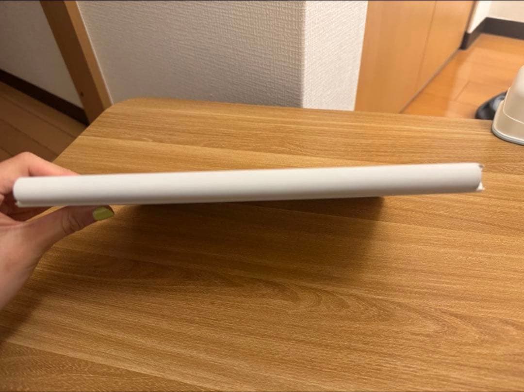 Apple Magic Keyboard iPad Pro 未使用に近い