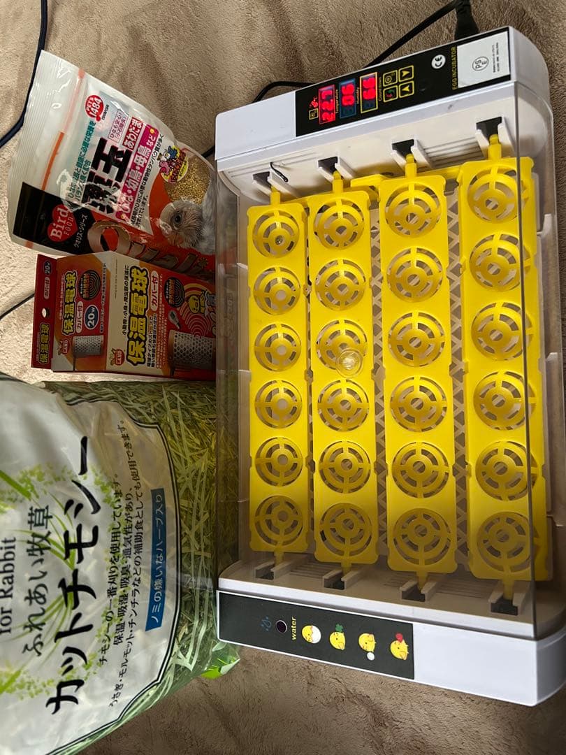 鳥類全自動孵卵器 孵化 ふ化器 自動転うずら ウズラ 牧草、保温電球、エサセット
