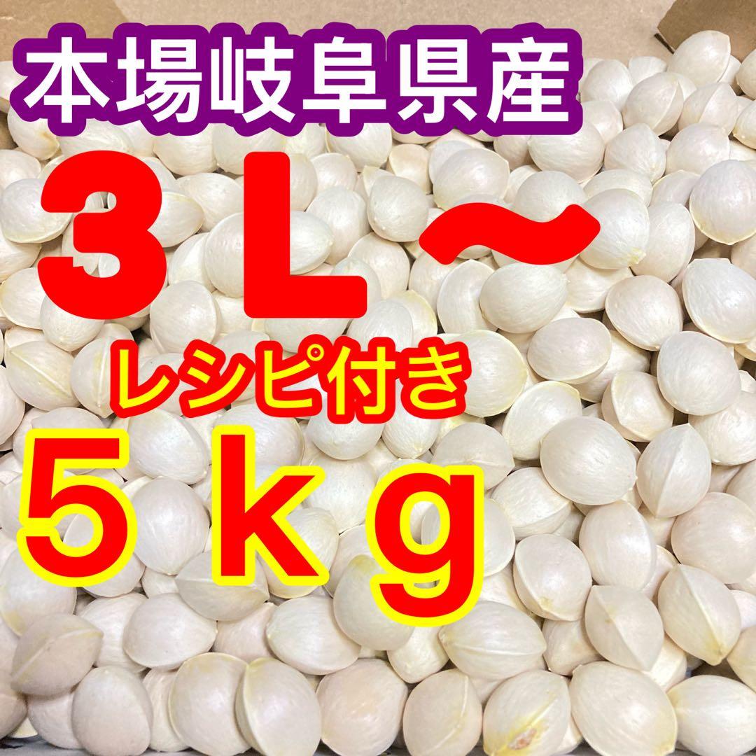 レシピ付き特売！本場岐阜県産！本家やませき、藤九郎，銀杏、３Ｌ♪５ｋｇ⑧