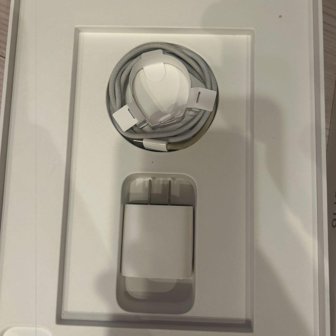 Apple 11インチiPad Pro (第4世代)Wi-Fi 本体