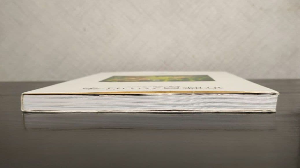 近藤喜文の仕事　動画で表現できること