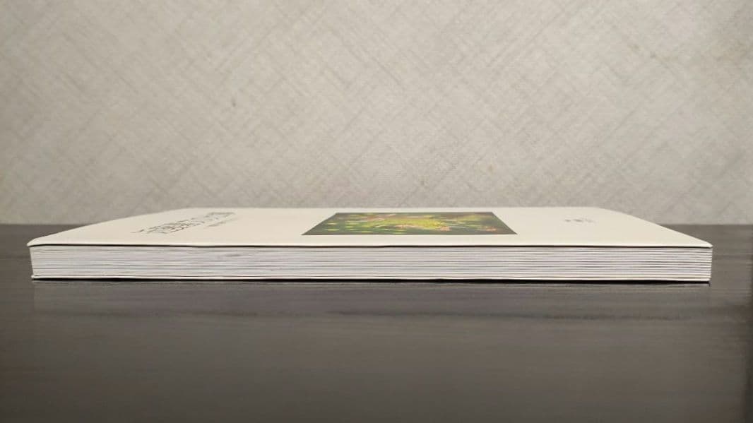 近藤喜文の仕事　動画で表現できること