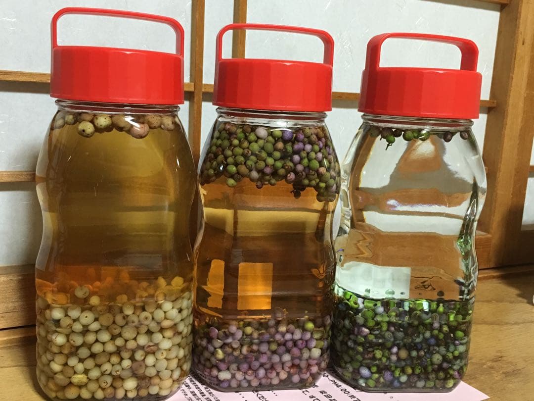 野ぶどう（馬ぶどう）酢漬け
