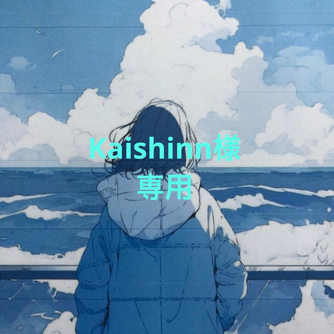 Kaishinn様　リクエスト