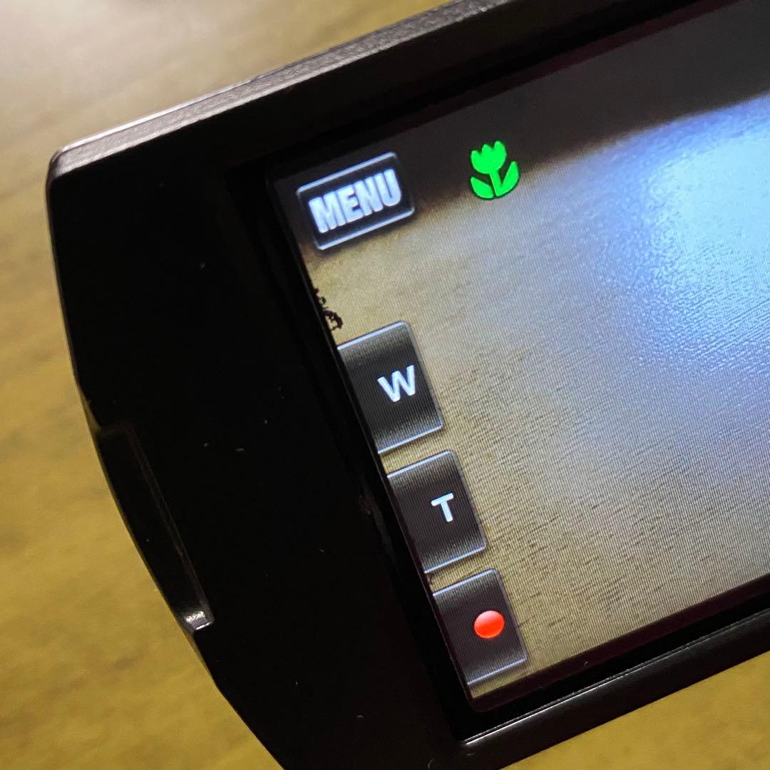 SONY ソニー デジタル ビデオカメラ ハンディカム HDR-TD20V 3D