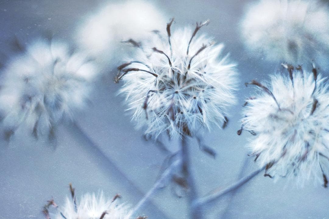 【美品】ヘリオス HELIOS-44-2 58mm F2 M42マウント