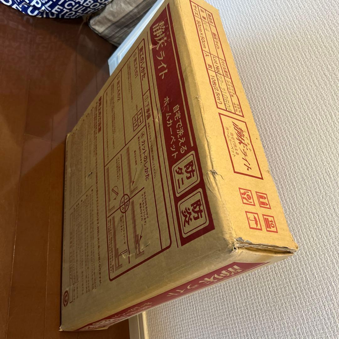 新品未開封 静床ライト 50cm x 50cm 10枚入り N-4 ブラウン