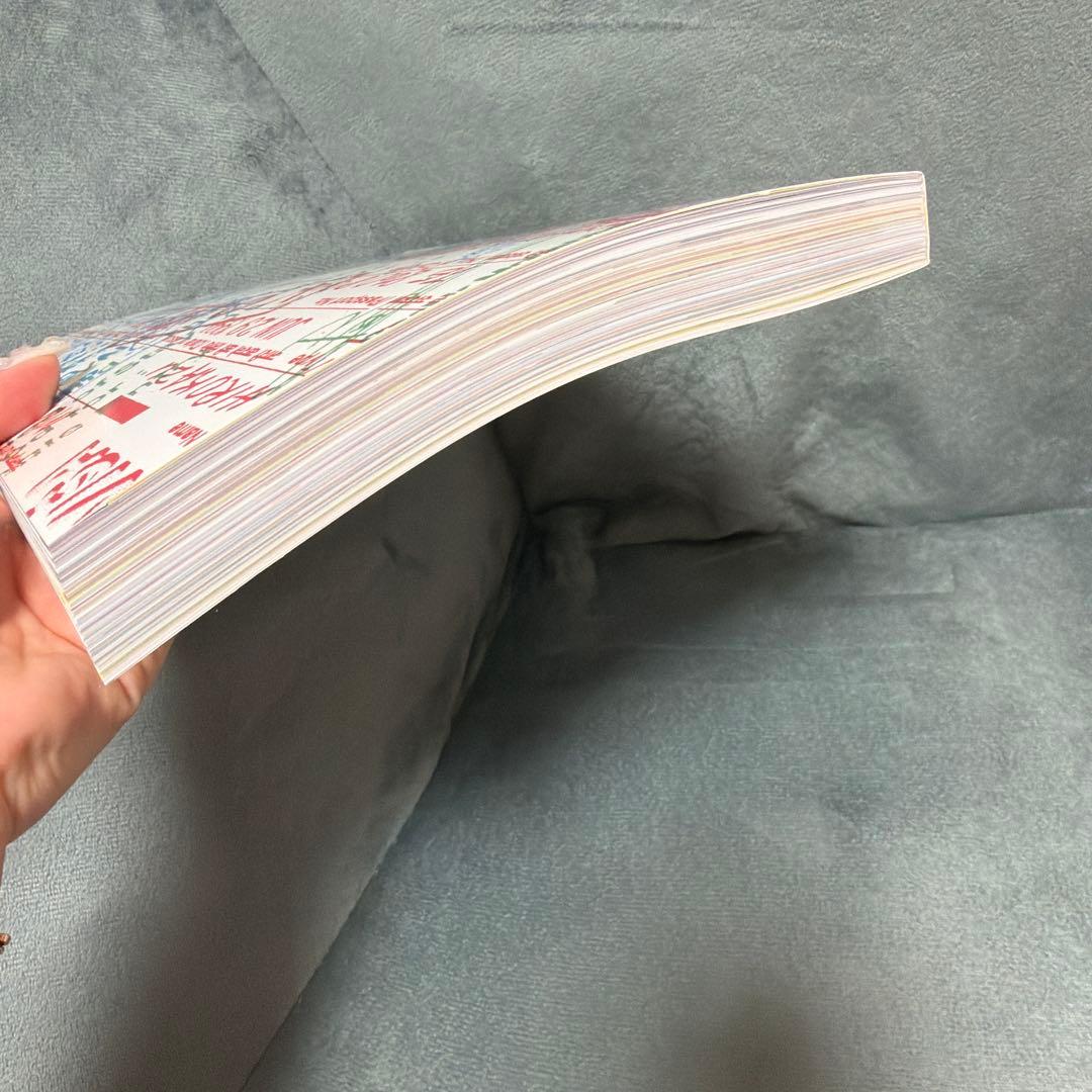 【新品未読】バックパッカーシンドローム　丸山ゴンザレス