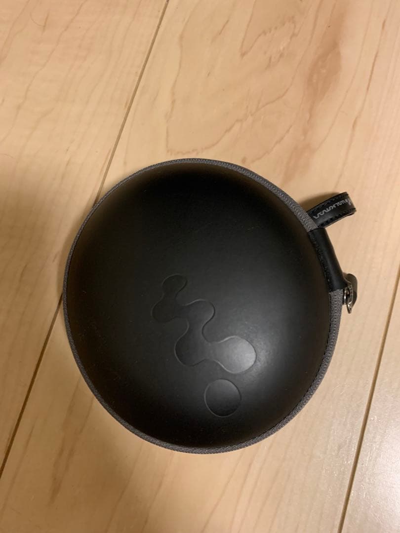 【SONY】ワイヤレスイヤホン/デジタルミュージックプレイヤー