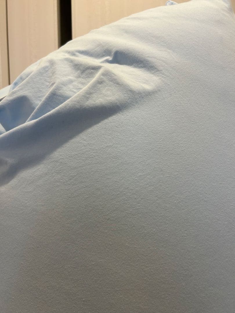 【引き取り限定】Yogibo Max ペールブルー