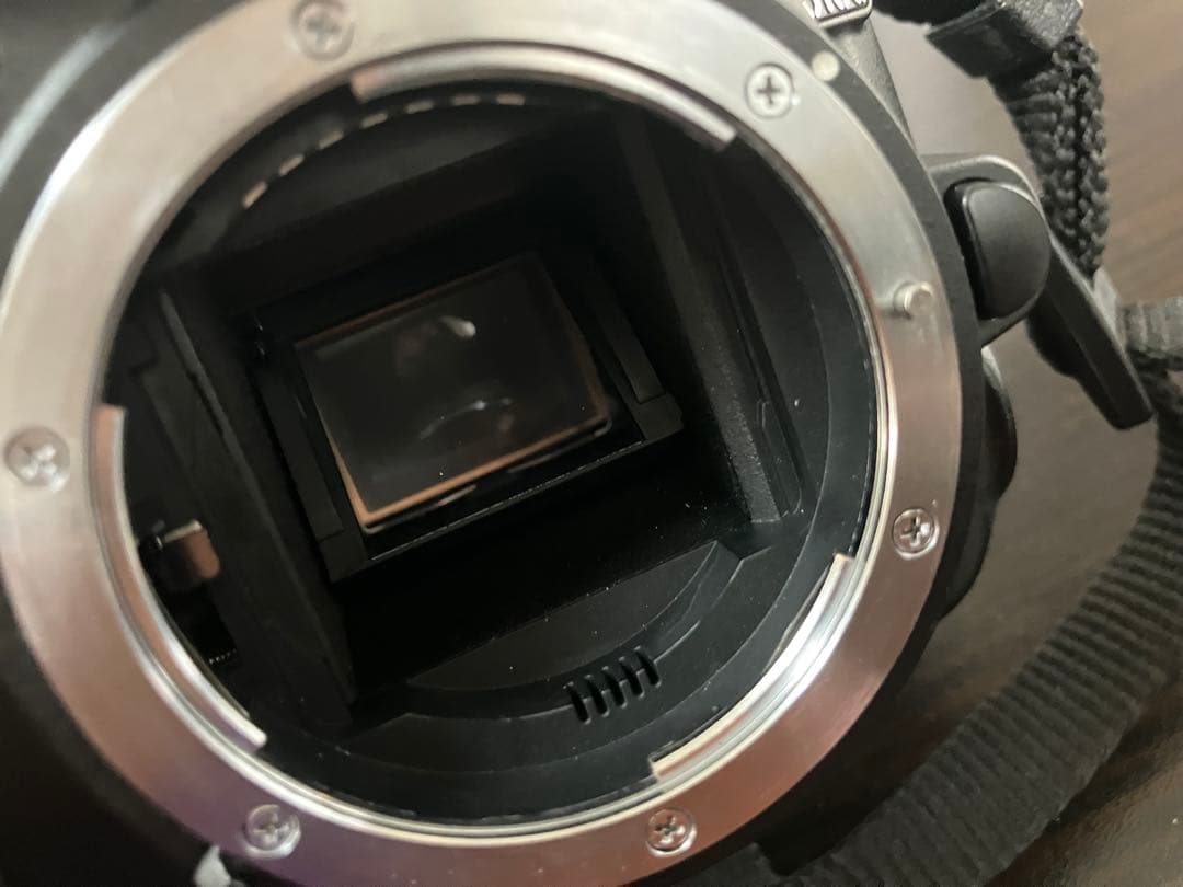 Nikon D3100 デジタル一眼レフカメラ　ボディ