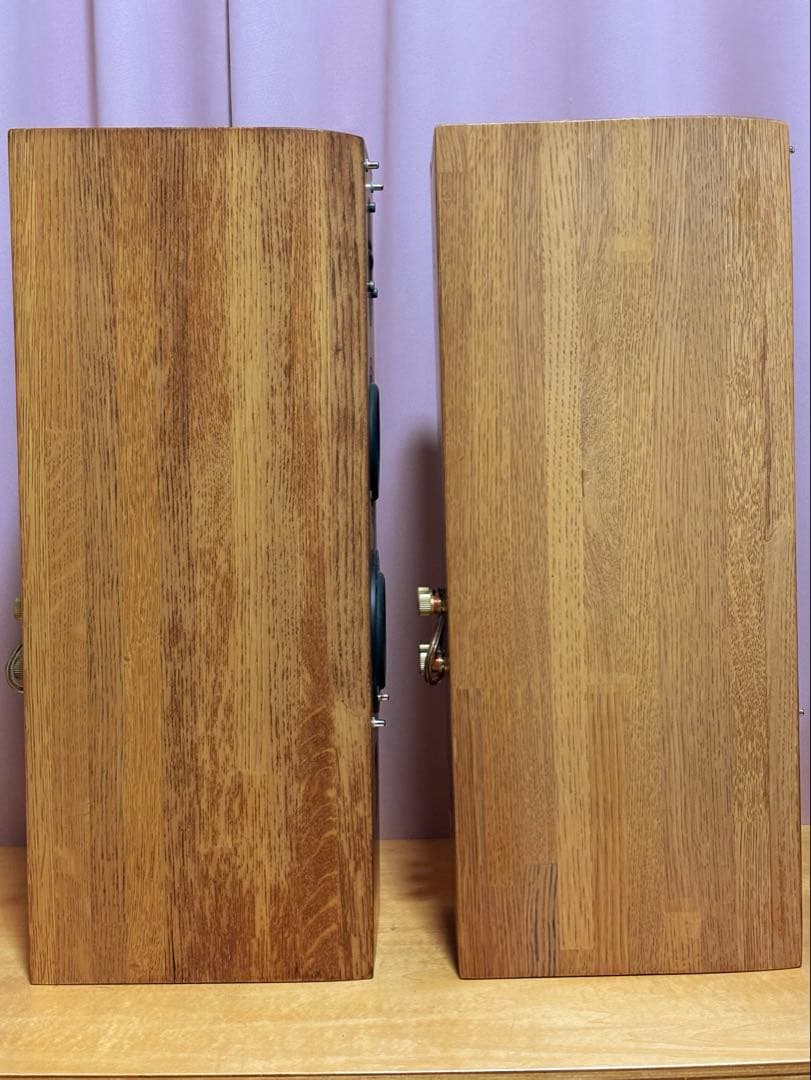 PIONEER S-PM300 ピュアモルトスピーカー