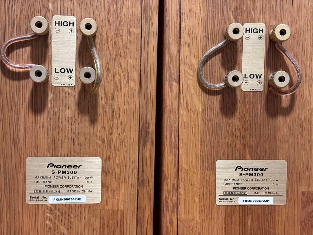 PIONEER S-PM300 ピュアモルトスピーカー