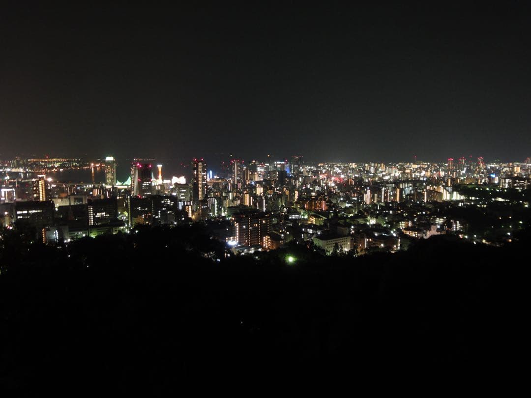 SONYソニーCyber-shotサイバーショットDSC-WX1カード2枚付