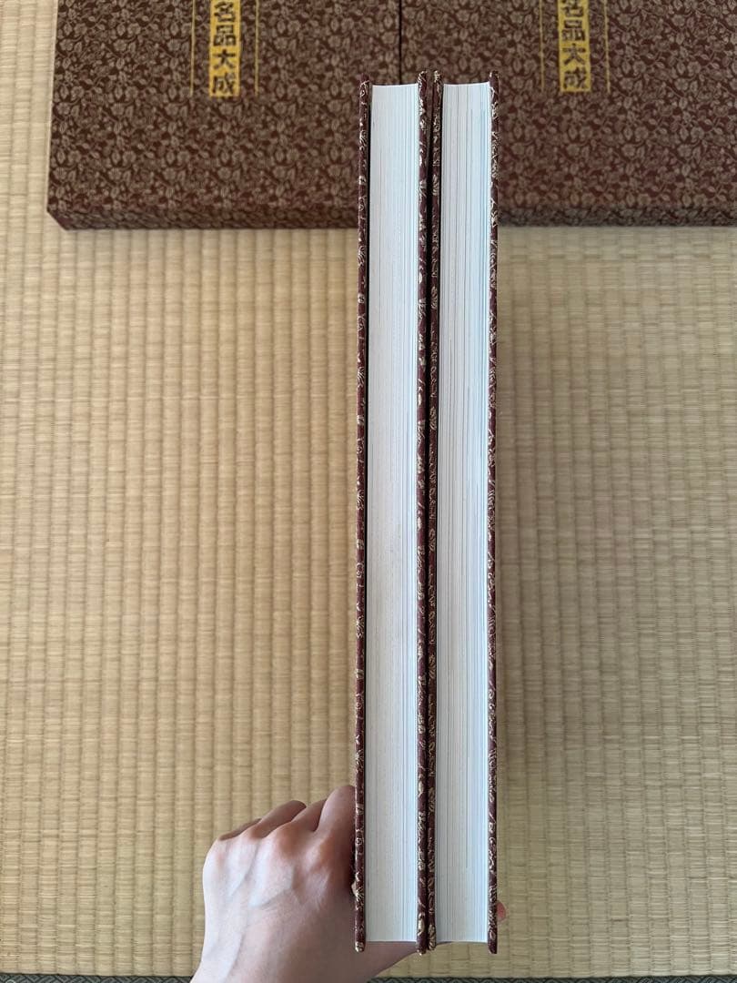 【美品・函付】美術盆器名品大成 中国編／日本編 全2冊｜大型本・盆栽資料