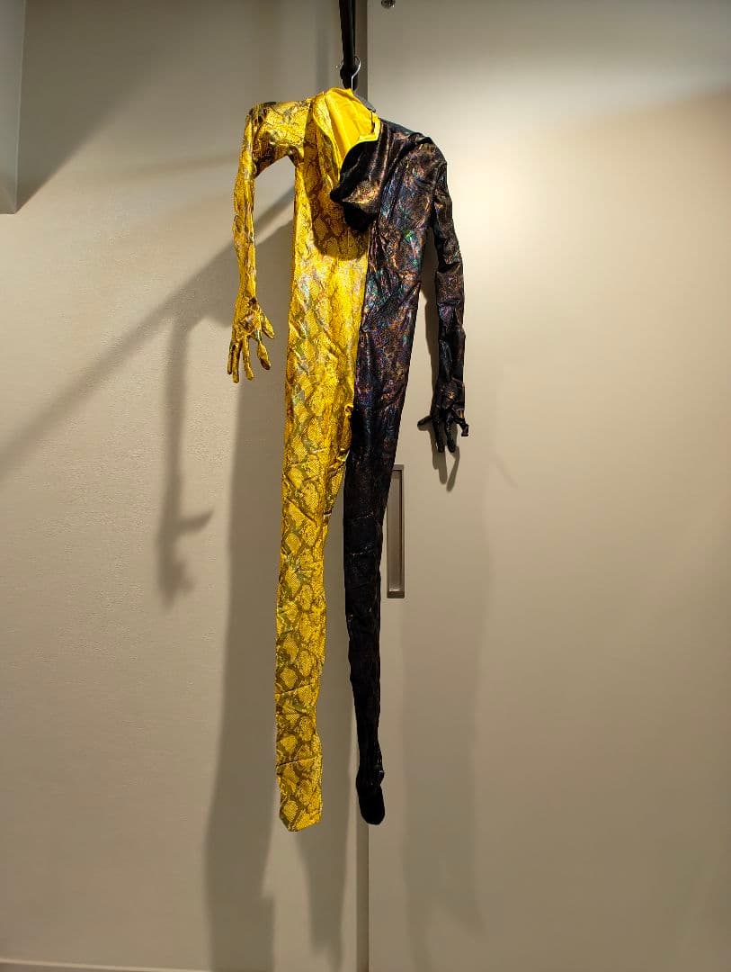 ☆　女性サイズ・ダブルカラー全身タイツ　☆　ZENTAI、コスプレ、戦隊