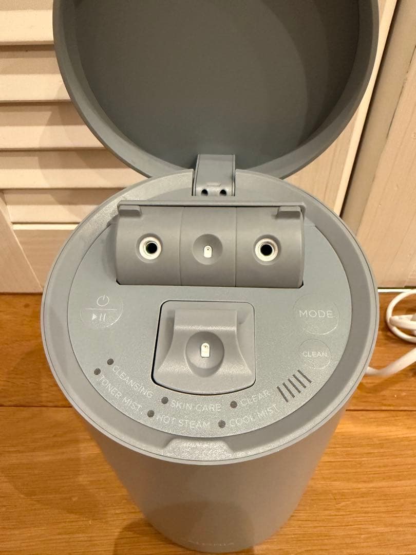 SALONIA サロニア　ピュアブライトスチーマー