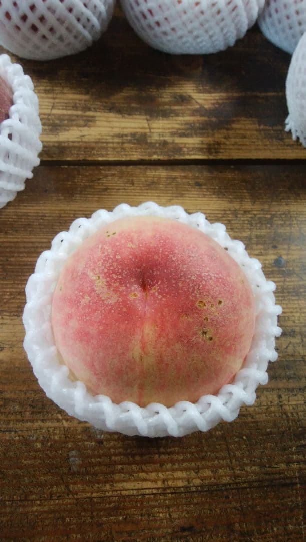 laboさん専用　特大　桃　さくら白桃　わけあり　10kg