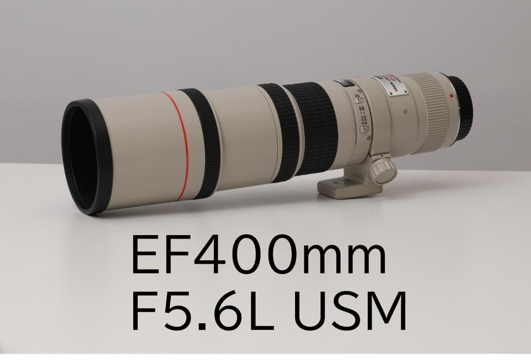 Canon EF400mm F5.6L USM 単焦点超望遠レンズ